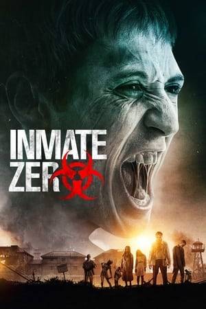 There's a zombie outbreak after a medical trial in an international detention and medical facility on an isolated island. An ex US Special Forces/bodyguard woman inmate and a guard form a team.