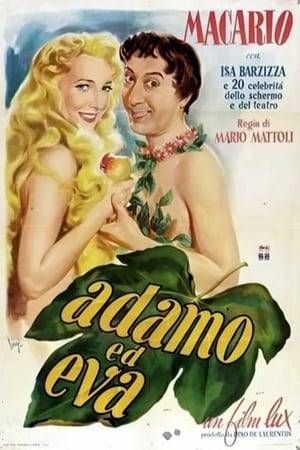 Eva Bianchi, who works as a manicure in a beauty salon in Milan, falls in love with the owner Adamo Rossi. But Adam, who at first always gives her roses, now no longer seems interested in her.
