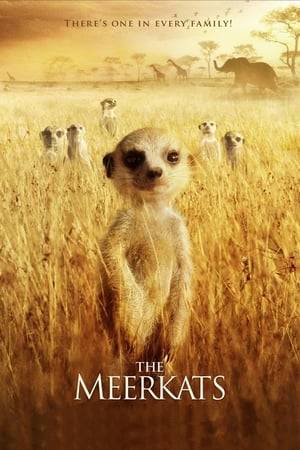 A coming of age story following a young meerkat pup, Kolo, growing up in the Kalahari desert; and an inspiring look at how one family's connection to each other and their surroundings is a model of resilience and fortitude for us all. Shot using ground-breaking techniques, this dramatised documentary is a one-of-a-kind presentation from The Weinstein Company and the BBC, featuring narration by Paul Newman.