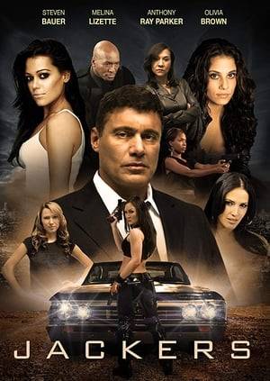 A high-speed accident on the freeways of Los Angeles reveals a turf war between two competing car theft rings of sexy all-girl crews. Brandy Martinez, a young streetwise cop is assigned by lieutenant Baynes (Steven Bauer) to go undercover and infiltrate one of the crews. When Brandy falls for Carlo, an undercover cop also investigating the gangs, the two find themselves in the middle of a treacherous game of survival with everything exploding around them.