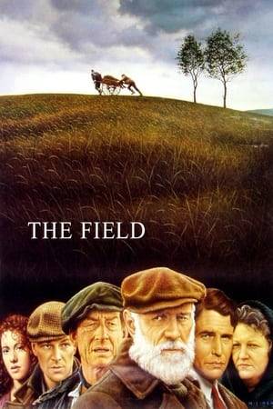 "Bull" McCabe's family has farmed a field for generations, sacrificing much in the name of the land. When the widow who owns the field decides to sell it in a public auction, McCabe knows that he must own it. While no local dare bid against him, a wealthy American decides he requires the field to build a highway. "Bull" and his son decide they must try to convince the American to let go of his ambition and return home, but the consequences of their plot prove sinister.