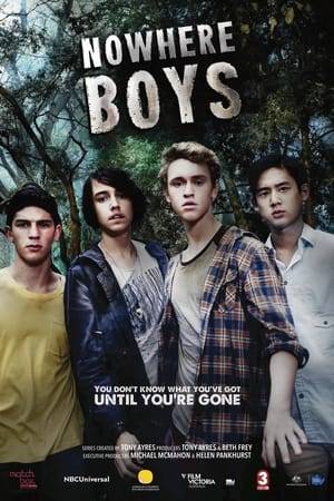 Four teenage boys get lost in the forest and discover, when they return home, that they are in an alternate world identical to theirs except for one startling difference - they were never born.