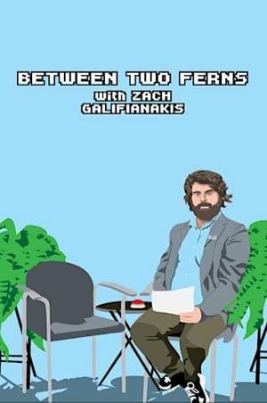 Host Zach Galifianakis conducts celebrity interviews sitting with his guests between two potted ferns.