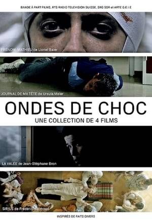 The mini-series tells about shocking criminal cases from Switzerland, with each episode showing a self-contained story based on true events.