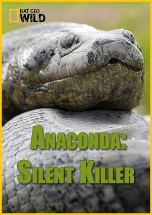 Exploring the large and powerful anaconda in remote parts of the Amazon rainforest.