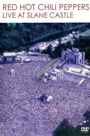 On tour promoting their 2002 studio album 'By the Way', Los Angeles-based funk rock band Red Hot Chili Peppers performs a sold-out live show to 80,000 people at Slane Castle in County Meath, Ireland on August 23, 2003.