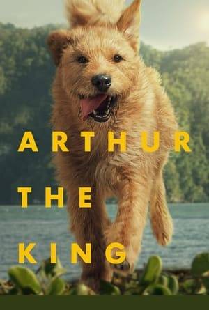 Over the course of ten days and 435 miles, an unbreakable bond is forged between pro adventure racer Michael Light and a scrappy street dog companion dubbed Arthur. As the team is pushed to their outer limits of endurance in the race, Arthur redefines what victory, loyalty and friendship truly mean.