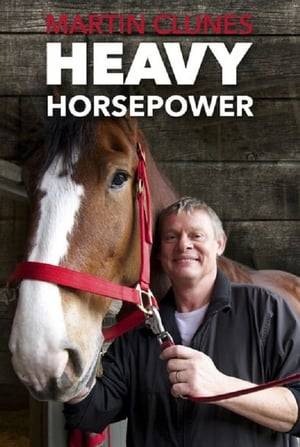 Two-part investigation into man's relationship with horses. Diligently researched it goes to all four corners of the globe showing how man and horse became connected.