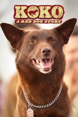 The true story of an ordinary dog, whose good fortune and ability to connect with people catapults him to fame.