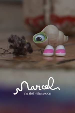 Marcel the shell gives an outline of his life.