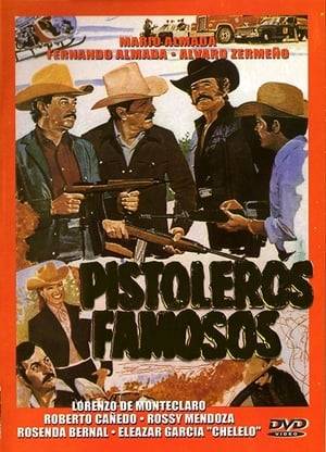 A gunfighter after killing the ones responsible for his brother's death, joins by mistake a gang of smugglers