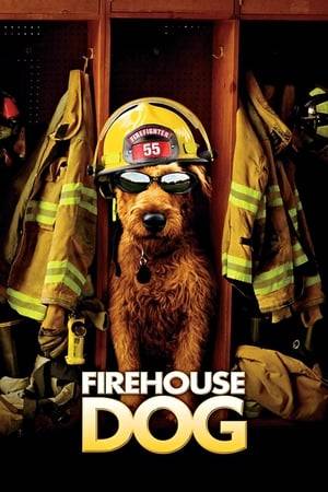 Rexxx, Hollywood's top canine star, gets lost and is adopted into a shabby firehouse. He teams up with a young kid to get the station back on its feet.