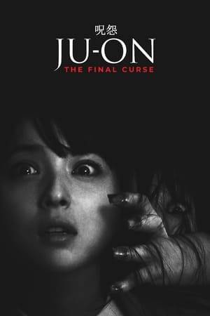 Following the events of Ju-on: The Beginning of the End, Mai, the older sister of elementary schoolteacher Yui Shono, goes to look for her sister, who disappeared after a year while working in an elementary school. Mai soon discovers the Teriyaki household who tells her about what happened to her sister. Mai will now uncover the dark secrets of Ju-on and will try to end the curse once and for all.