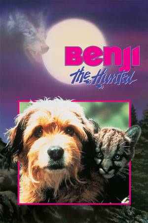 Benji has become stranded on a remote island after a boating accident. He finds himself struggling to survive in the wilderness, avoiding close encounters with a wolf, a bear, and a territorial female cougar with her cub.
