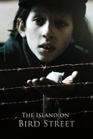 Alex is an 11-year old boy who, during WWII, hides in the Jewish ghetto from Nazis after all his relatives have been sent to the concentration camp. The movie portrays the ghetto through his eyes.