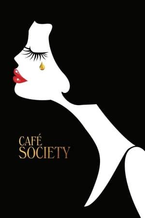 The story of a young man who arrives in Hollywood during the 1930s hoping to work in the film industry, falls in love, and finds himself swept up in the vibrant café society that defined the spirit of the age.