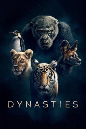 Follow the true stories of five of the world's most celebrated, yet endangered animals; penguins, chimpanzees, lions, painted wolves and tigers. Each in a heroic struggle against rivals and against the forces of nature, these families fight for their own survival and for the future of their dynasties.