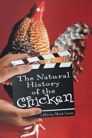 Through interviews and reenactments, The Natural History of the Chicken investigates the role of the chicken in American life and tells several remarkable stories. A Maine farmer says she found a chicken frozen stiff, but was able to resuscitate it. Colorado natives tell a story of the chicken who lost its head-- and went on living. A Virginia farmer tells about (and demonstrates) the benefits of raising chickens for his own consumption. Perhaps most surprising is the case of the Florida woman: she bathes her pet bird, and takes it both swimming and shopping. Through these and other stories, this documentary illuminates the role that chickens play in (some of) our lives.