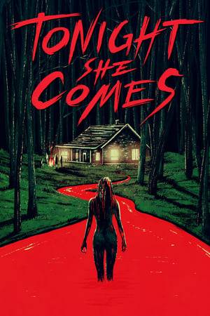 After a girl goes missing, two of her friends and a mysterious set of strangers find themselves drawn to the cabin in the woods where she disappeared. They will laugh, they will drink, they will kiss, they will make love, and THEY MUST ALL DIE.