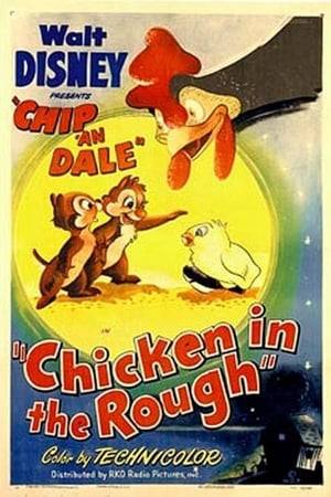Chip 'n' Dale wander into a farmyard to collect acorns. Dale mistakes an egg for a nut, but when he tries to demonstrate to a newly hatched chick how to get back into the egg, a rooster mistakes him for one of his chicks.