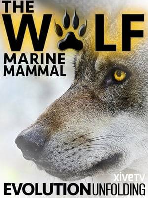 The wolf of British Columbia is on a quest to master water, fishing and swimming. According to several specialists, the wolf is at the first stage of a process that could turn it into a marine mammal. How will its evolution unfold?