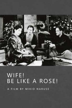 Kimiko, a Tokyo white-collar working girl, lives with her serious, intellectual, haiku-writing mother. Kimiko seeks to marry her boyfriend but needs her absent father to act as the go-between and negotiate the marriage. Kimiko travels and finds her father living with a second family.