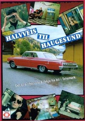 Faded punker Otto gets a gig in Haugesund, and gets his dads old Opel Diplomat from the scrap yard. In Telemark, however, he makes a wrong turn and meets Farida Svalastog, who makes a living finding Americans' Norwegian roots (or those who pretend to be). Then strange things start to happen, and Otto gets stuck on the labyrinthine roads of Telemark. Among other things, he is chased by amcar enthusiasts who are looking for the engine of the Opel Diplomat, which houses a highly sought after Chevrolet V8.