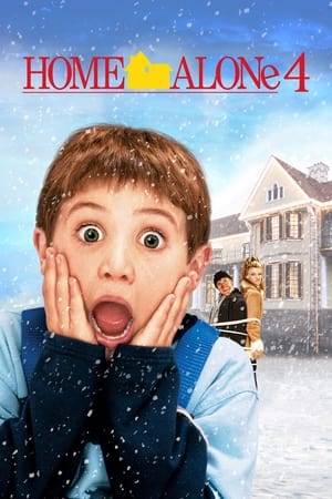 Kevin McCallister's parents have split up. Now living with his mom, he decides to spend Christmas with his dad at the mansion of his father's rich girlfriend, Natalie. Meanwhile robber Marv Merchants, one of the villains from the first two movies, partners up with a new criminal named Vera to hit Natalie's mansion.
