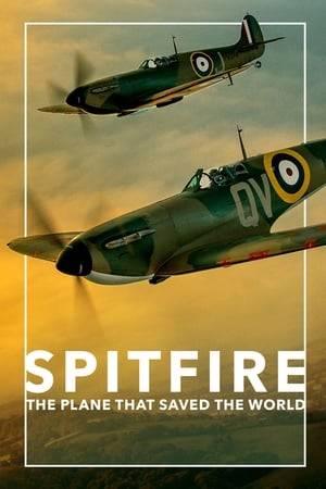 A feature documentary about the people and the planes that helped win World War War II. Through people personally connected to the events, the film investigates the story of how the Spitfire, its stable-mate, the Hawker Hurricane and its great adversary, the Messerschmitt 109 came into being during the huge advances in aviation in the interwar period—and then how the pilots fared in combat, three miles up in the skies over Europe, Africa and Asia.