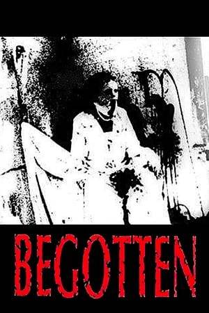 Begotten is the creation myth brought to life, the story of no less than the violent death of God and the (re)birth of nature on a barren earth.