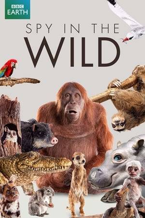 Documentary series in which animatronic spy creatures infiltrate the animal world to explore their complex emotions.