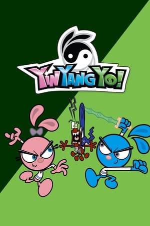 Two 11-year-old rabbit twins named Yin and Yang train under Master Yo, a grumpy old panda. They learn the sacred art of Woo Foo, a special type of martial arts that involves both might and magic. They must work together to save the world from evil villains and forces that want to destroy, corrupt or take it over. However, through all these adventures, Yin and Yang still portray stereotypical siblings; belligerently antagonistic but still ultimately caring about each other and working together if needed.
