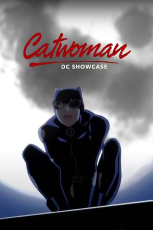 Catwoman attempts to track down a mysterious cargo shipment that is linked to a Gotham City crime boss called Rough Cut.