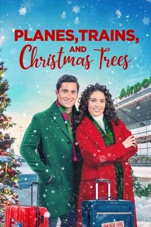During a business trip, event planner Kayley and sports agent Brett find themselves unable to fly home for Christmas due to a snowstorm. Determined to get back to NYC by Christmas Eve, the two team up and try to make their own way home.