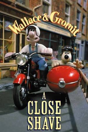 Wallace's whirlwind romance with the proprietor of the local wool shop puts his head in a spin, and Gromit is framed for sheep-rustling in a fiendish criminal plot.
