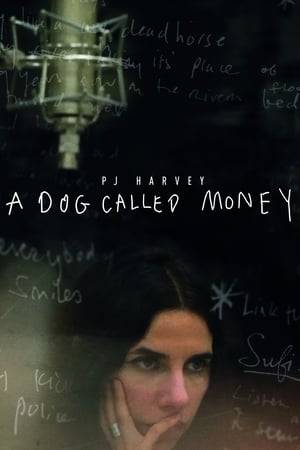 Accompany PJ Harvey and Seamus Murphy on a journey through the creative process behind PJ Harvey's new album, conceived by their travels around the globe.
