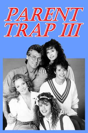 When Jeff plans to marry again, his triplet daughters Megan, Lisa and Jessie try to bring him together with Susan.