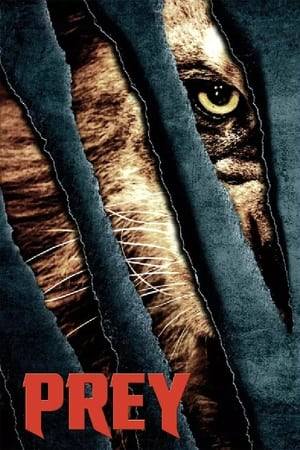 A zoo veterinarian gets caught up in a grisly adventure as she finds herself leading the city-wide hunt for a monstrous lion terrorizing the Dutch capital of Amsterdam.