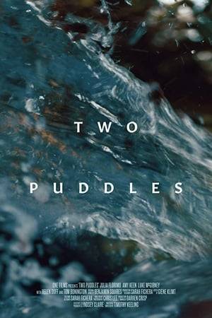 When a family encounters two radically unusual puddles on a woodland retreat, unspoken tensions finally surface.