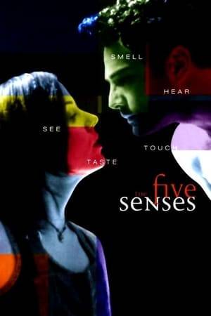 Interconnected stories examine situations involving the five senses. Touch is represented by a massage therapist who is treating a woman, while her daughter accidentally loses the woman's pre-school daughter in the park. The older daughter meets a voyeur (vision), a professional house-cleaner has an acute sense of smell, a cake maker has lost her sense of taste, and an older man is losing his hearing.