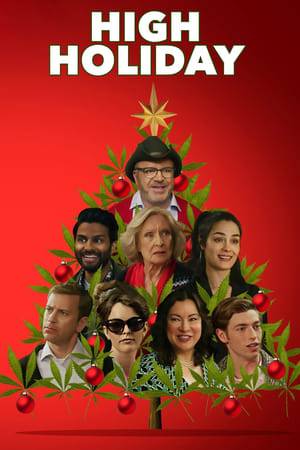 In order to lighten up her uptight family, the free-spirited daughter of a conservative politician brings weed-infused salad dressing to their Christmas Eve dinner. Chaos ensues when everyone gets unknowingly high, revealing the family's innermost secrets.