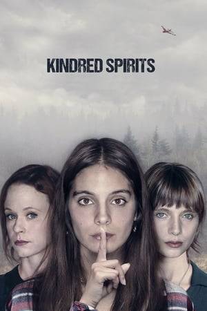 Single mother Chloe has her life turned upside down when her younger sister, Sadie, comes home after a long, unexplained absence. Though Sadie seems to want to settle in with her sister and 17-year-old niece, it soon becomes apparent that she may have sinister intentions.