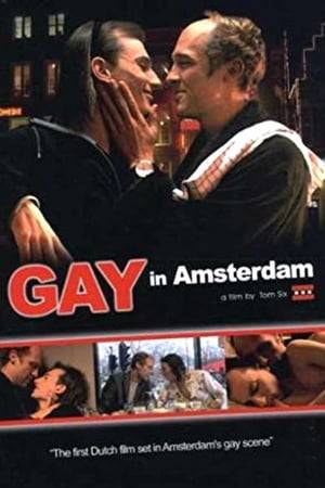 The Dutch film "Gay in Amsterdam" is about a cheating gay couple going through a rough patch in their relationship enjoying the famous Amsterdam gay-scene extravaganza.