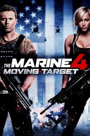 WWE Superstar Mike "The Miz" Mizanin returns as Jake Carter where he is assigned to protect a whistleblower who wishes to expose a corrupt military defense contractor. However, the military hires a heavily armed team of mercenaries to kill her and it's up to Carter to stop them at any cost.