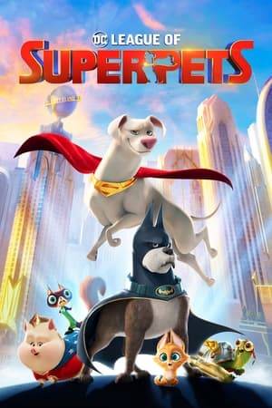 When Superman and the rest of the Justice League are kidnapped, Krypto the Super-Dog must convince a rag-tag shelter pack - Ace the hound, PB the potbellied pig, Merton the turtle and Chip the squirrel - to master their own newfound powers and help him rescue the superheroes.