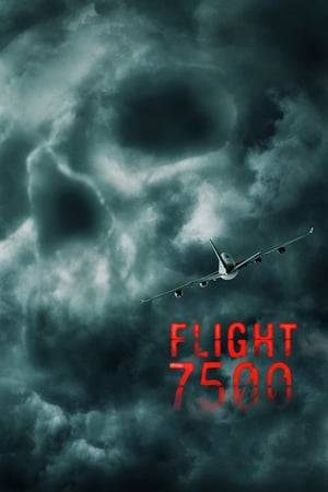 Flight 7500 departs Los Angeles International Airport bound for Tokyo. As the overnight flight makes its way over the Pacific Ocean during its ten-hour course, the passengers encounter what appears to be a supernatural force in the cabin.
