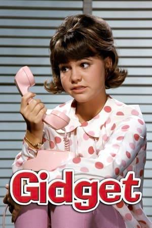 Gidget is an American sitcom about a surfing, boy-crazy teenager called "Gidget" and her widowed father Russ Lawrence, a UCLA professor. Sally Field stars as Gidget with Don Porter as father Russell Lawrence. The series was first broadcast on ABC from September 15, 1965 to April 21, 1966.

Gidget was among the first regularly scheduled color programs on ABC, but did poorly in the Nielsen ratings and was cancelled at the end of its first season.
