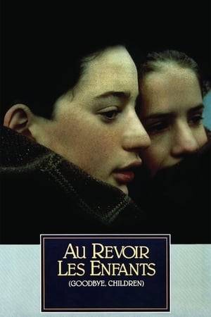 Au revoir les enfants tells a heartbreaking story of friendship and devastating loss concerning two boys living in Nazi-occupied France. At a provincial Catholic boarding school, the precocious youths enjoy true camaraderie—until a secret is revealed. Based on events from writer-director Malle’s own childhood, the film is a subtle, precisely observed tale of courage, cowardice, and tragic awakening.