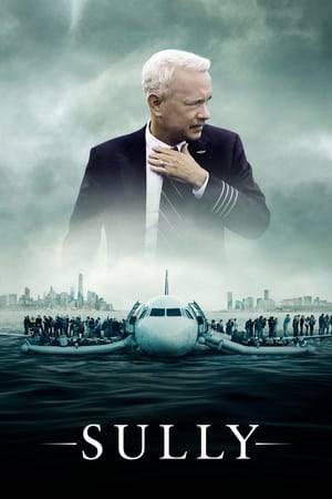 On 15 January 2009, the world witnessed the 'Miracle on the Hudson' when Captain 'Sully' Sullenberger glided his disabled plane onto the Hudson River, saving the lives of all 155 souls aboard. However, even as Sully was being heralded by the public and the media for his unprecedented feat of aviation skill, an investigation was unfolding that threatened to destroy his reputation and career.