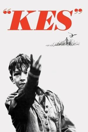 Bullied at school and ignored and abused at home by his indifferent mother and older brother, Billy Casper, a 15-year-old working-class Yorkshire boy, tames and trains his pet kestrel falcon whom he names Kes. Helped and encouraged by his English teacher and his fellow students, Billy finally finds a positive purpose to his unhappy existence—until tragedy strikes.